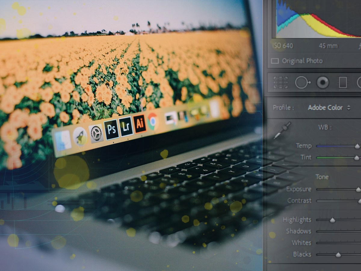 Cyfrowa ciemnia: Presety